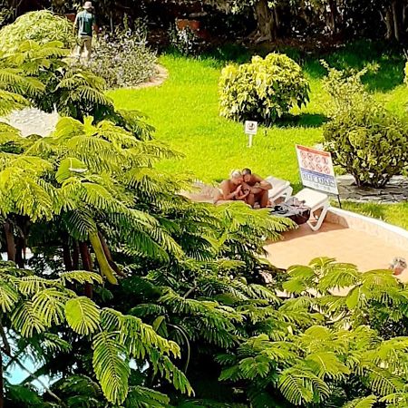 Nueva Europa Studio Ocean View Leilighet Playa Del Aguila  Eksteriør bilde