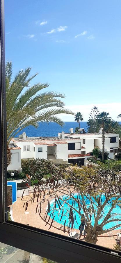 Nueva Europa Studio Ocean View Leilighet Playa Del Aguila  Eksteriør bilde